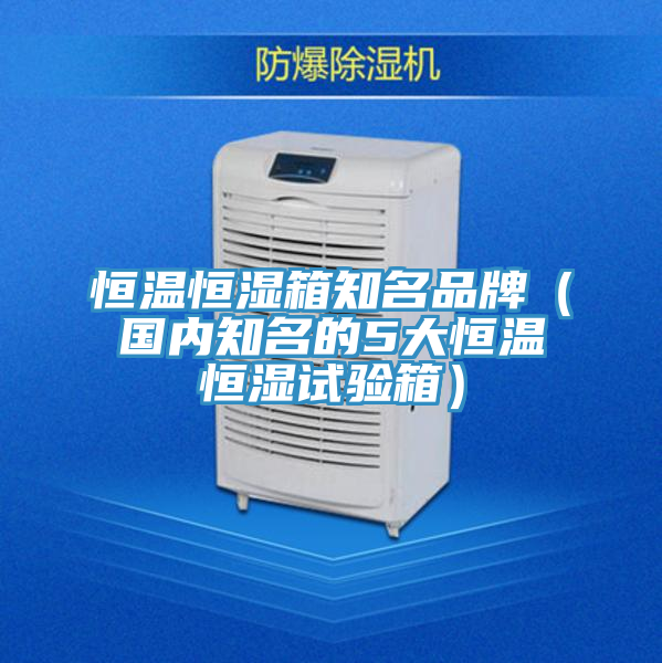 恒溫恒濕箱知名品牌(國內知名的5大恒溫恒濕試驗箱)
