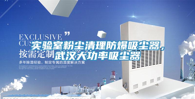 實(shí)驗(yàn)室粉塵清理防爆吸塵器，武漢大功率吸塵器