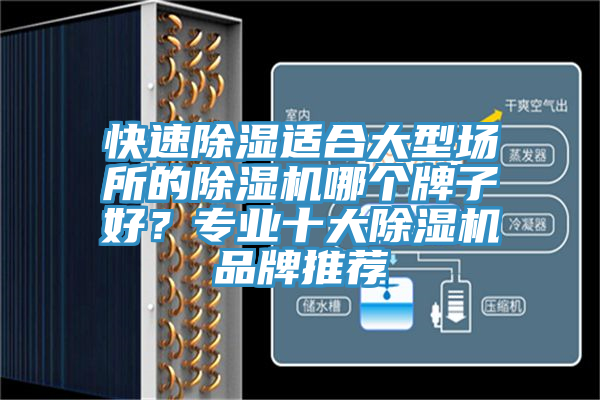 快速除濕適合大型場所的除濕機哪個牌子好？專業十大除濕機品牌推薦