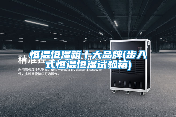 恒溫恒濕箱十大品牌(步入式恒溫恒濕試驗箱)