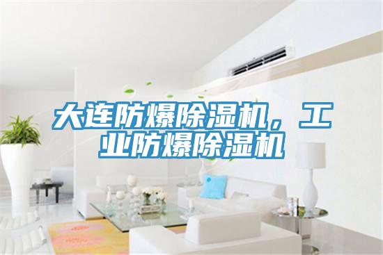 大連防爆除濕機，工業防爆除濕機