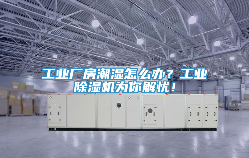 工業(yè)廠房潮濕怎么辦？工業(yè)除濕機為你解憂！