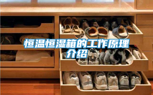 恒溫恒濕箱的工作原理介紹