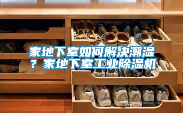 家地下室如何解決潮濕？家地下室工業除濕機
