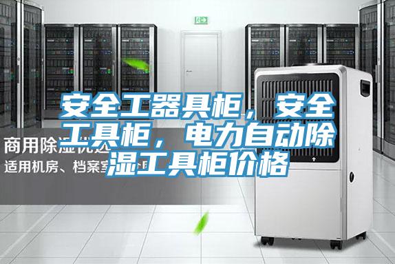 安全工器具柜，安全工具柜，電力自動除濕工具柜價格