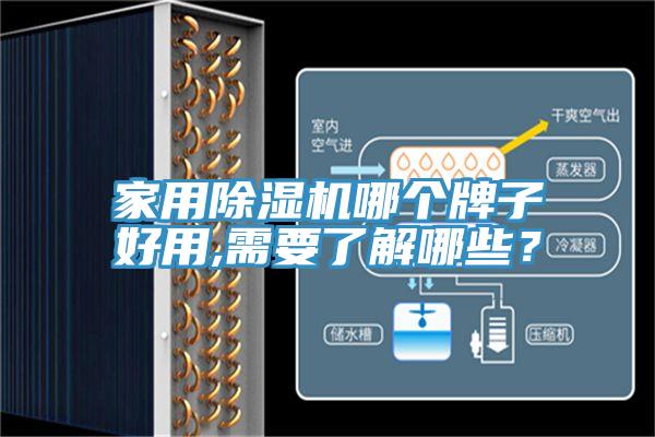 家用除濕機(jī)哪個(gè)牌子好用,需要了解哪些？