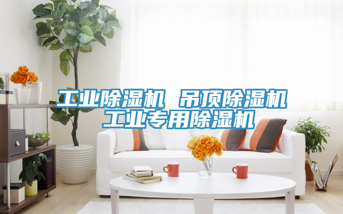 工業(yè)除濕機(jī) 吊頂除濕機(jī) 工業(yè)專用除濕機(jī)