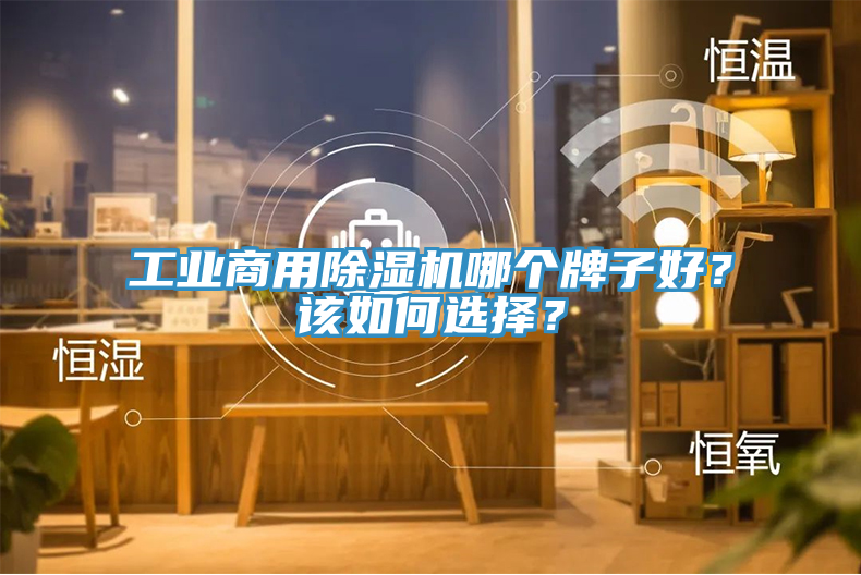工業商用除濕機哪個牌子好？該如何選擇？
