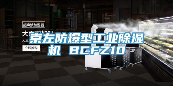 崇左防爆型工業除濕機 BCFZ10