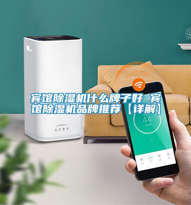 賓館除濕機什么牌子好 賓館除濕機品牌推薦【詳解】