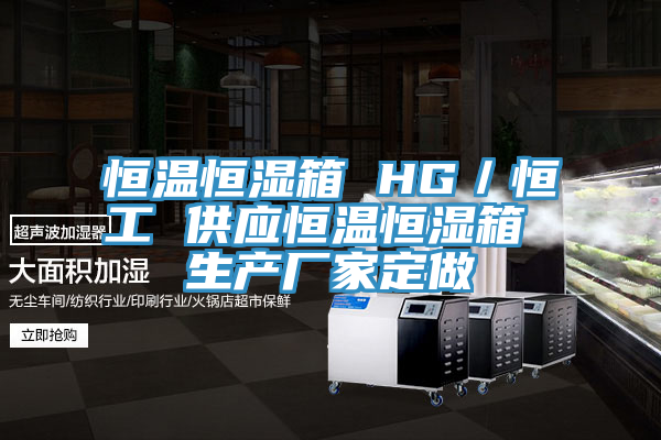 恒溫恒濕箱 HG／恒工 供應恒溫恒濕箱 生產廠家定做