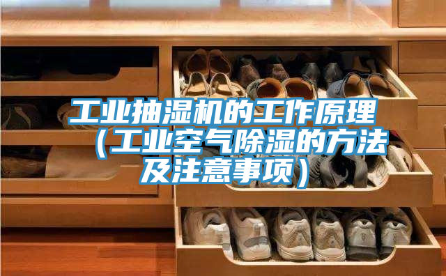 工業抽濕機的工作原理（工業空氣除濕的方法及注意事項）