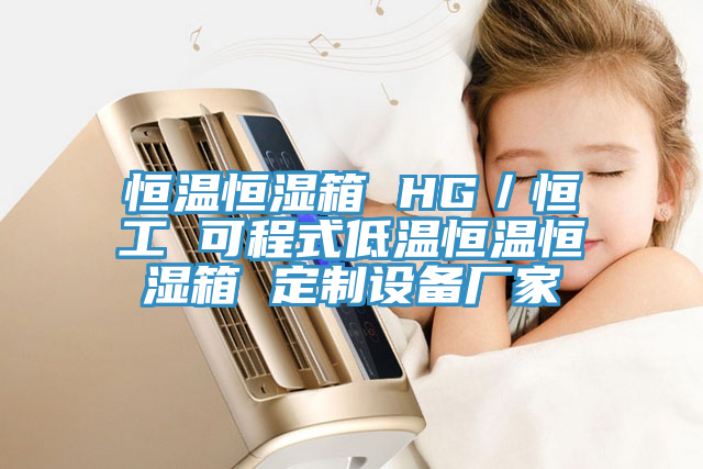 恒溫恒濕箱 HG／恒工 可程式低溫恒溫恒濕箱 定制設備廠家