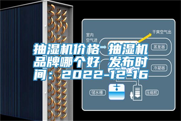 抽濕機價格 抽濕機品牌哪個好 發布時間：2022-12-16