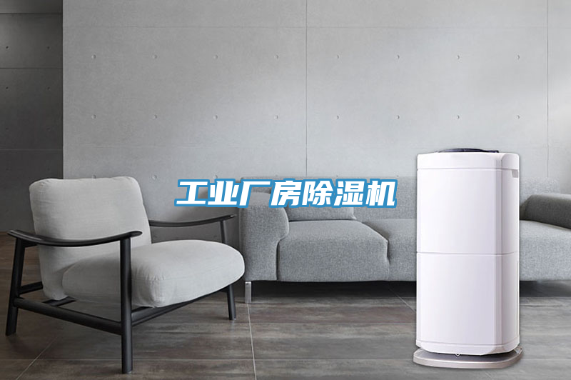 工業(yè)廠房除濕機
