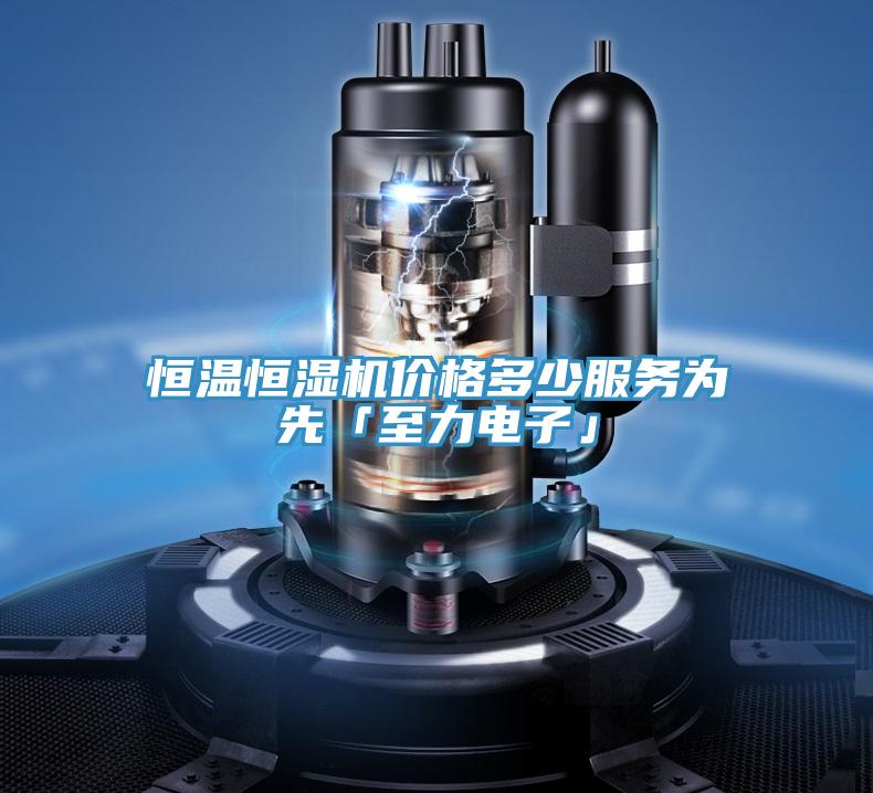 恒溫恒濕機(jī)價(jià)格多少服務(wù)為先「至力電子」