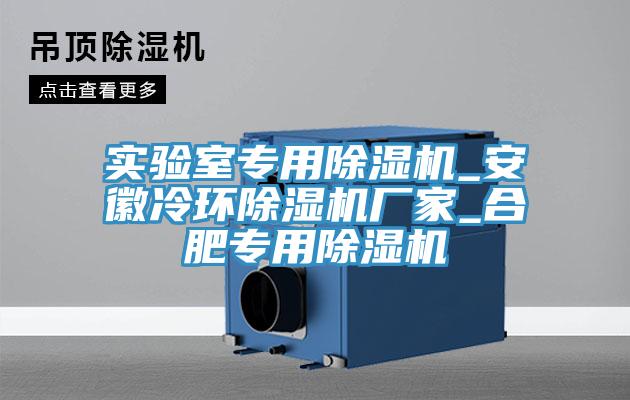 實(shí)驗(yàn)室專用除濕機(jī)_安徽冷環(huán)除濕機(jī)廠家_合肥專用除濕機(jī)