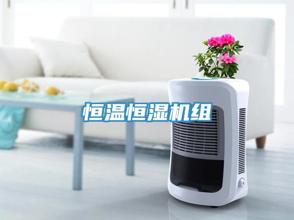 恒溫恒濕機組