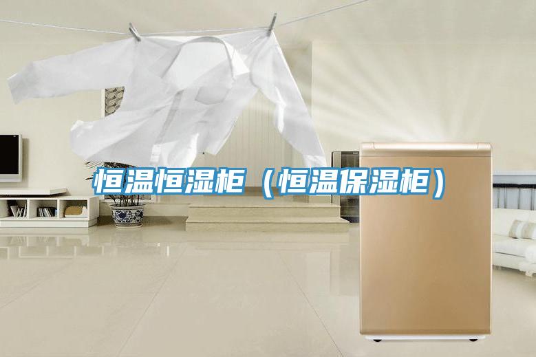 恒溫恒濕柜(恒溫保濕柜)