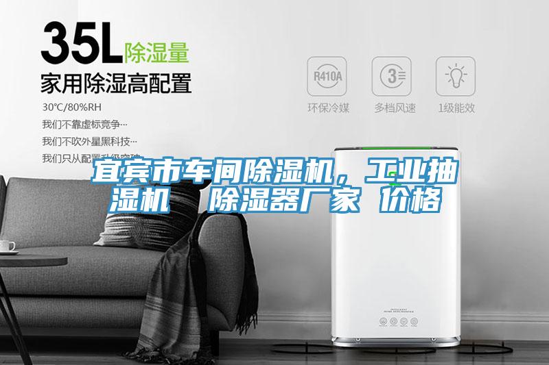 宜賓市車間除濕機，工業抽濕機  除濕器廠家 價格