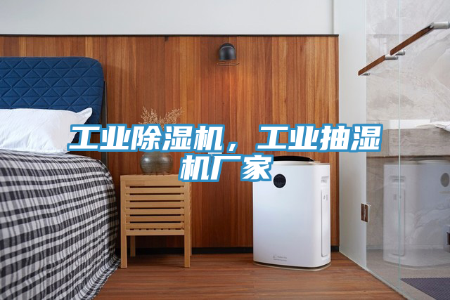 工業除濕機，工業抽濕機廠家