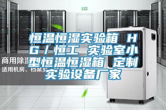 恒溫恒濕實驗箱 HG／恒工 實驗室小型恒溫恒濕箱 定制實驗設備廠家