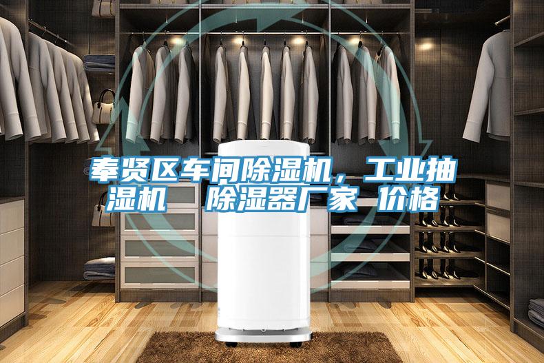 奉賢區(qū)車間除濕機(jī)，工業(yè)抽濕機(jī)  除濕器廠家 價(jià)格