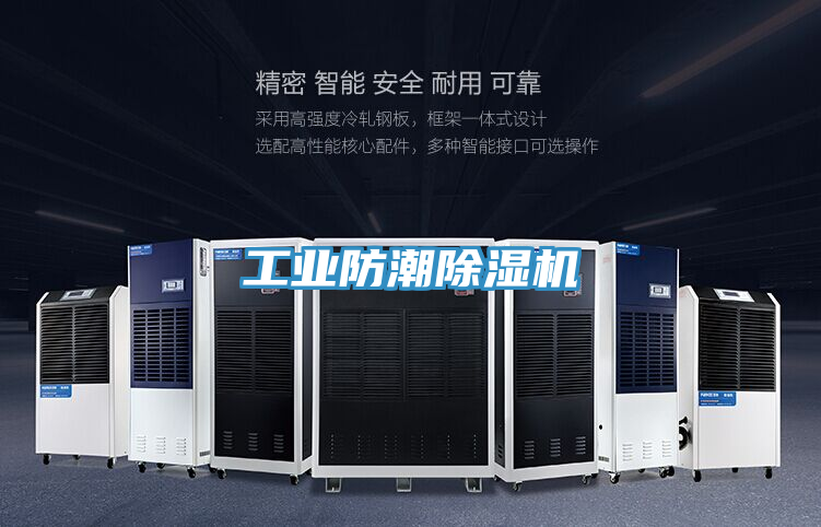 工業(yè)防潮除濕機(jī)