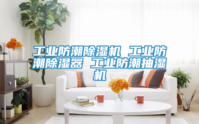 工業(yè)防潮除濕機(jī) 工業(yè)防潮除濕器 工業(yè)防潮抽濕機(jī)