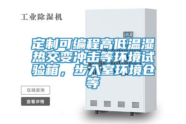 定制可編程高低溫濕熱交變沖擊等環(huán)境試驗(yàn)箱，步入室環(huán)境倉(cāng)等