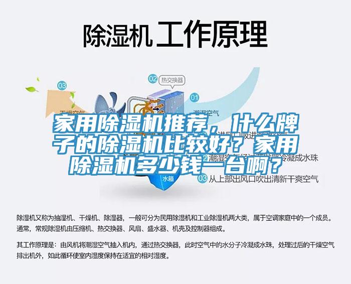 家用除濕機推薦，什么牌子的除濕機比較好？家用除濕機多少錢一臺啊？