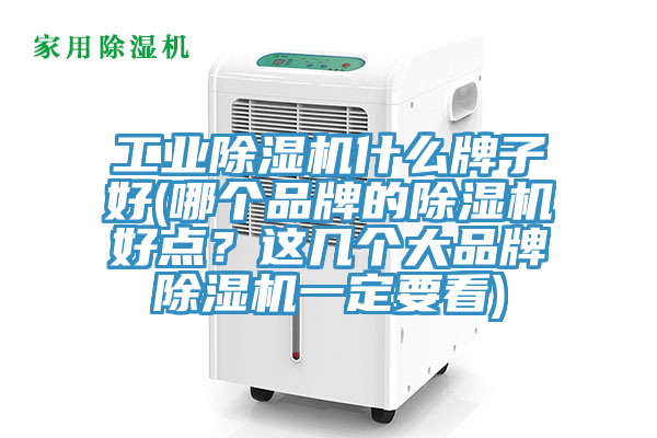 工業除濕機什么牌子好(哪個品牌的除濕機好點？這幾個大品牌除濕機一定要看)