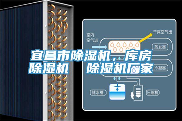 宜昌市除濕機，庫房除濕機  除濕機廠家