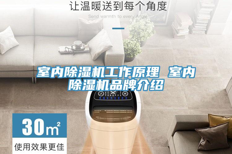 室內除濕機工作原理 室內除濕機品牌介紹