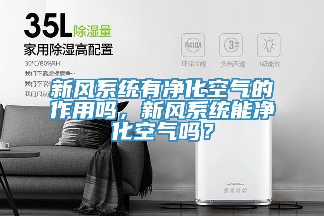 新風(fēng)系統(tǒng)有凈化空氣的作用嗎，新風(fēng)系統(tǒng)能凈化空氣嗎？