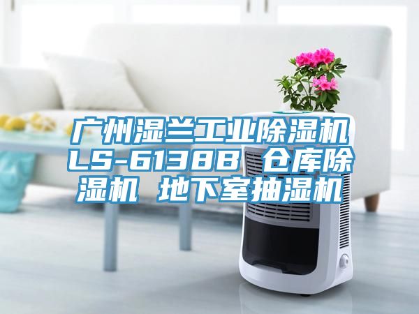 廣州濕蘭工業(yè)除濕機(jī)LS-6138B 倉庫除濕機(jī) 地下室抽濕機(jī)