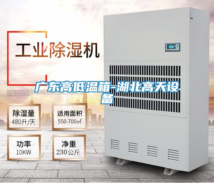 廣東高低溫箱-湖北高天設(shè)備