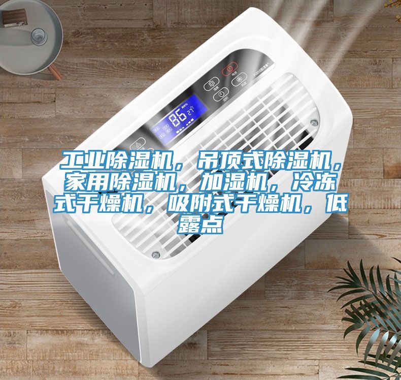 工業除濕機，吊頂式除濕機，家用除濕機，加濕機，冷凍式干燥機，吸附式干燥機，低露點