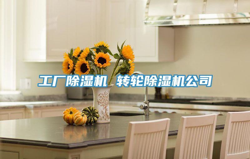 工廠除濕機(jī) 轉(zhuǎn)輪除濕機(jī)公司