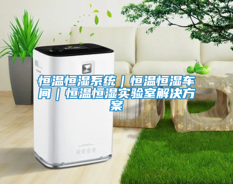 恒溫恒濕系統(tǒng)｜恒溫恒濕車間｜恒溫恒濕實驗室解決方案