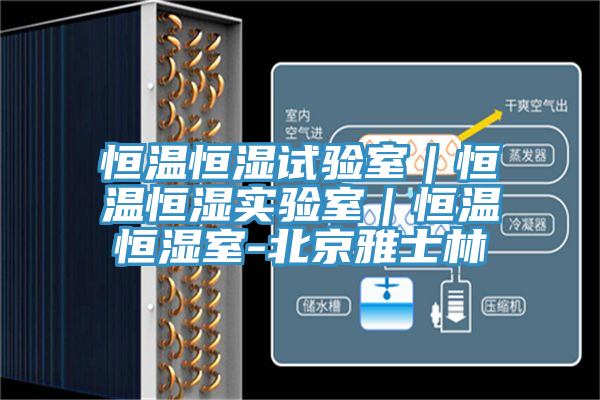 恒溫恒濕試驗室｜恒溫恒濕實驗室｜恒溫恒濕室-北京雅士林