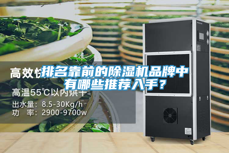 排名靠前的除濕機(jī)品牌中有哪些推薦入手？