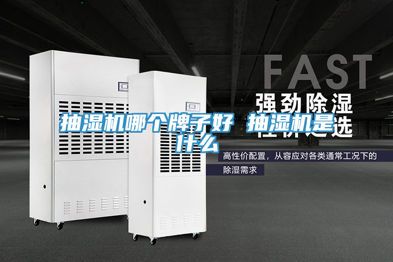 抽濕機哪個牌子好 抽濕機是什么