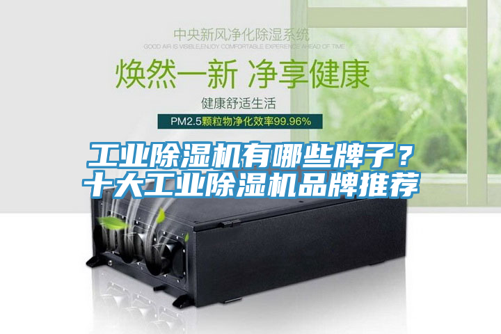 工業除濕機有哪些牌子？十大工業除濕機品牌推薦