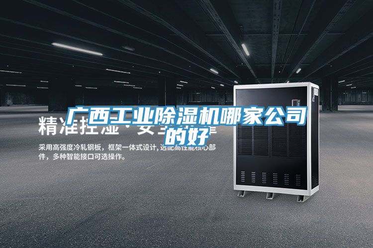 廣西工業(yè)除濕機(jī)哪家公司的好