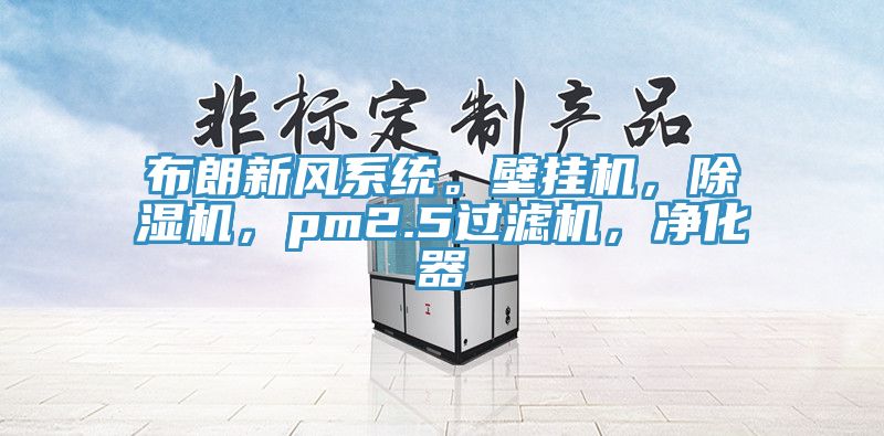 布朗新風(fēng)系統(tǒng)。壁掛機(jī)，除濕機(jī)，pm2.5過濾機(jī)，凈化器