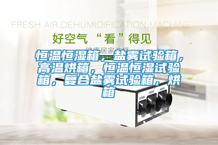 恒溫恒濕箱,鹽霧試驗箱,高溫烘箱,恒溫恒濕試驗箱,復合鹽霧試驗箱,烘箱