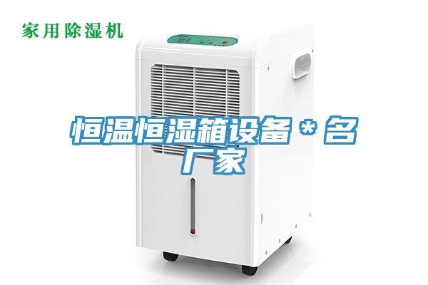 恒溫恒濕箱設備*名廠家