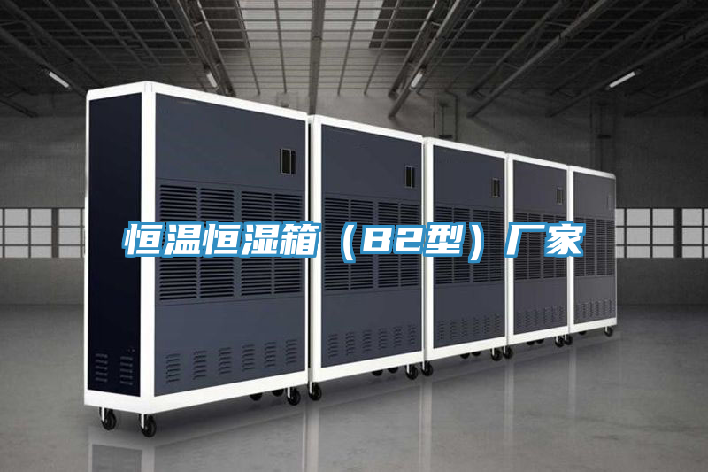 恒溫恒濕箱(B2型)廠家