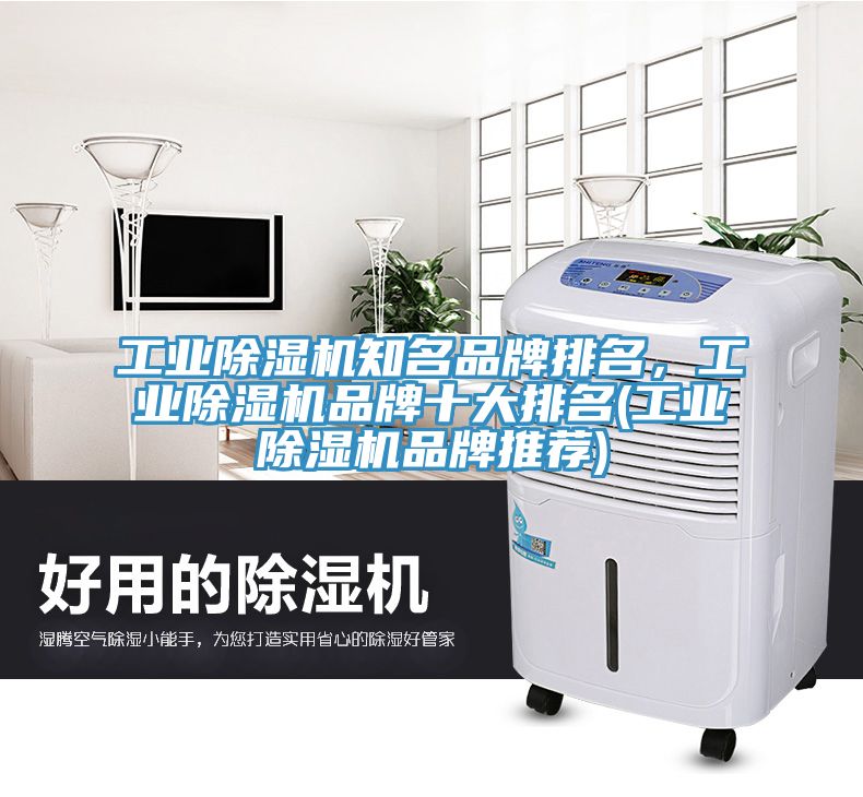 工業除濕機知名品牌排名，工業除濕機品牌十大排名(工業除濕機品牌推薦)